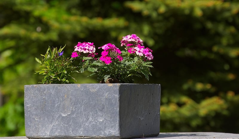 DIY Garden Projects